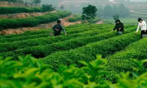 五一小众旅游推荐长沙周边,端午旅游推荐2-3天游长沙