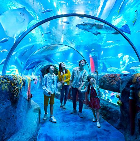 东京旅行性价比最高的酒店,东京旅游性价比高的酒店