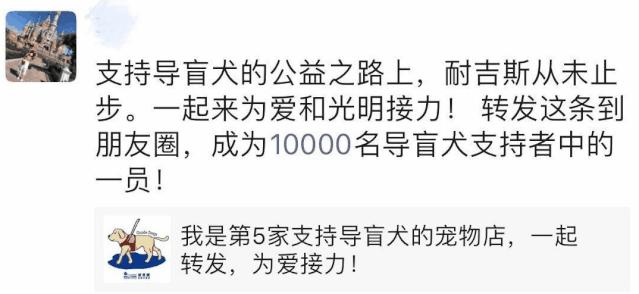 感谢15888名导盲犬支持者,1吨耐吉斯犬粮已送达导盲犬基地