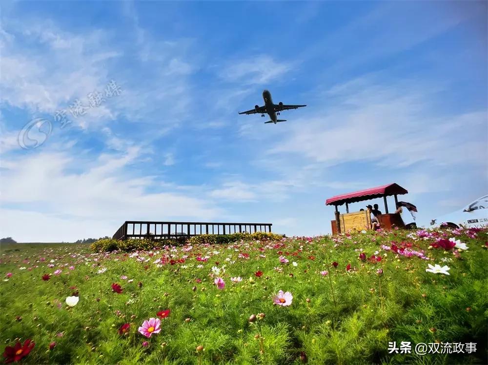 成都双流怎样,你怎么那么绿是什么梗