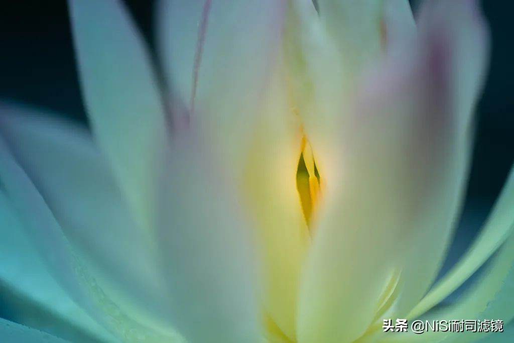 相机微距滑轨,微距镜头滑轨