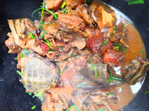 甲鱼的秘制酱料怎么熬制,甲鱼苦胆怎么调味
