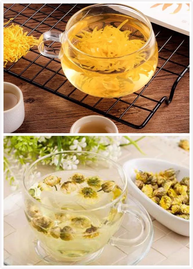 金丝菊茶的功效与作用降火吗,金丝皇菊配什么泡水喝去火又明目