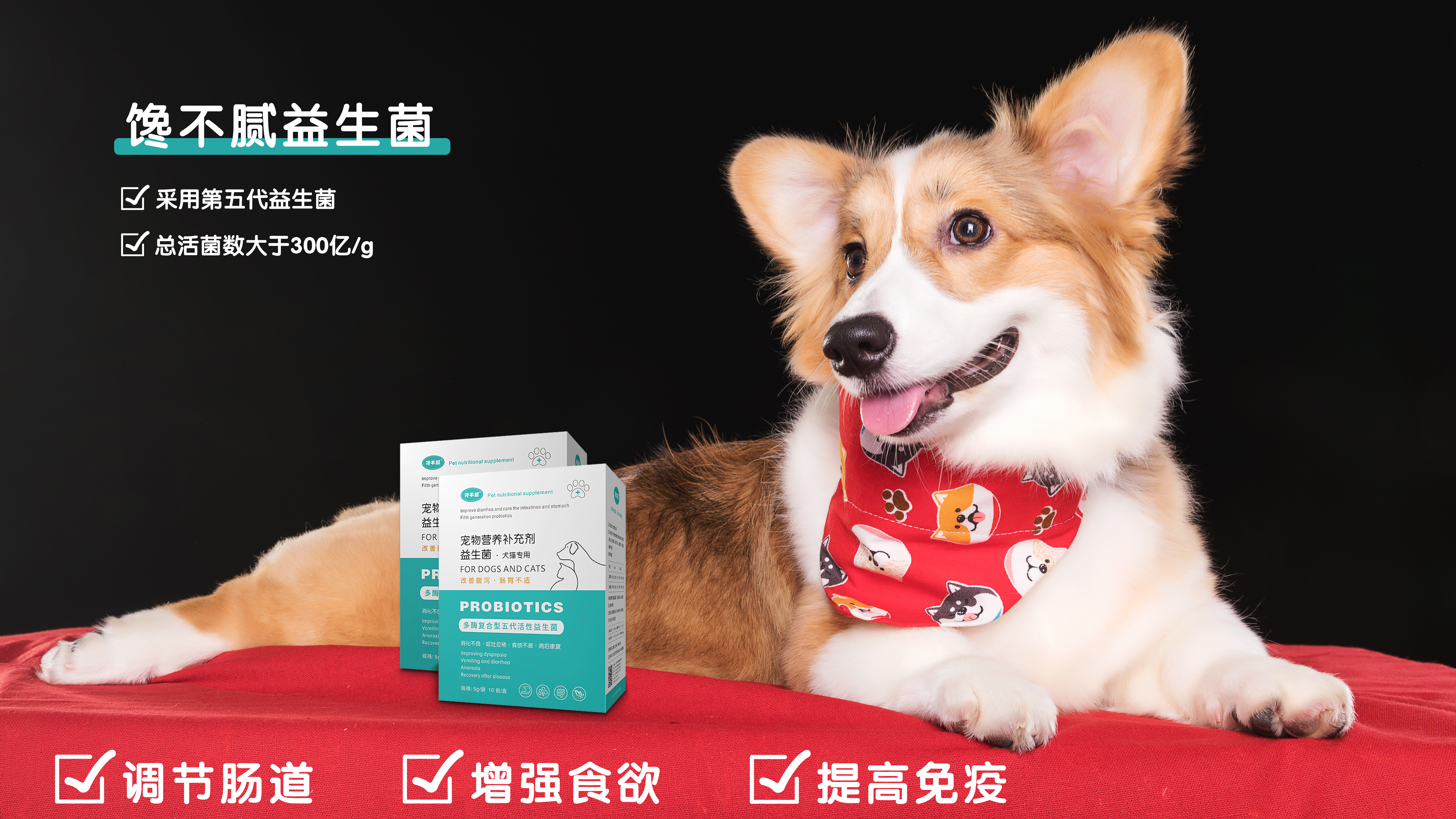 小狗拉肚子怎么治疗最有效,小狗拉肚子最快解决办法