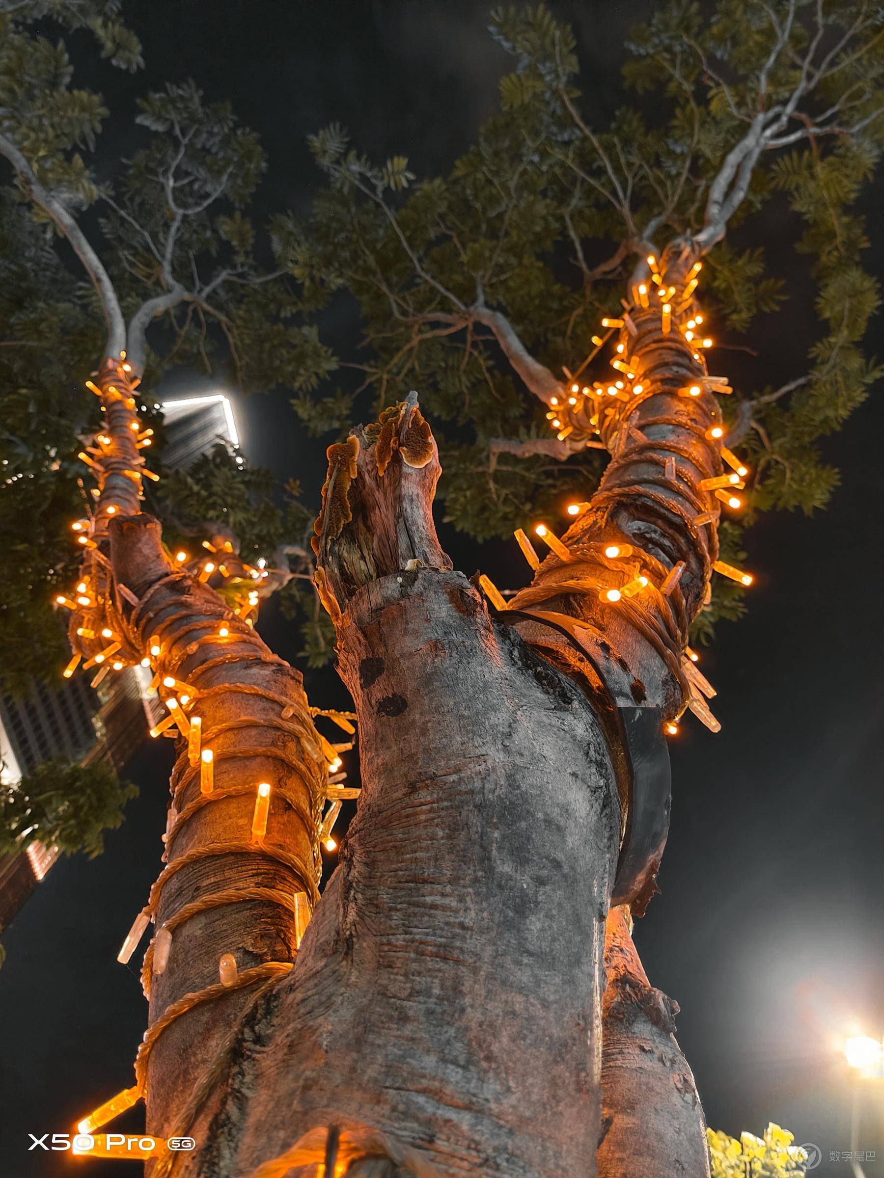 vivox100pro,vivox50pro实测