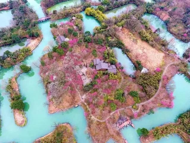 浙江8处赏梅胜地，收藏起来