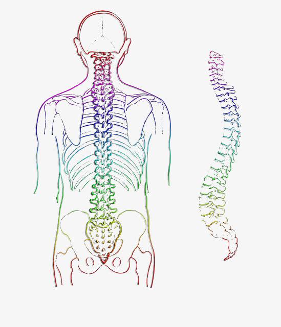 生物基础知识从零开始课程,生物学习入门
