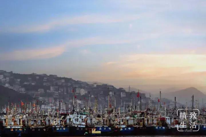 300公里外的“海鲜世家”登陆浦东！想吃要等8小时……