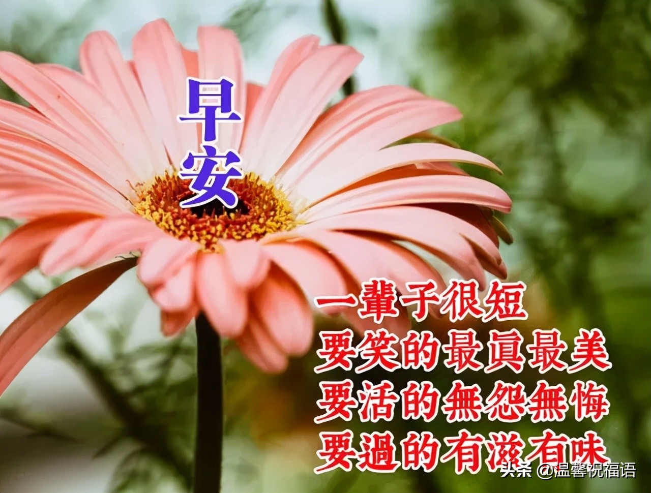 十一月初一早上好祝福,11.11光棍节祝福