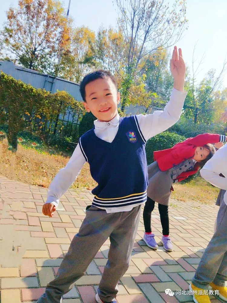 身体大揭秘动画,身体大揭秘