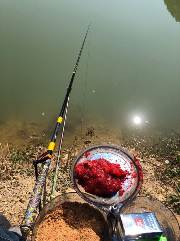 冬季钓鱼诱鲤鱼秘方,春季钓鱼如何诱鱼