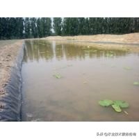 鱼塘防漏处理的最好方法,鱼塘专用防漏布