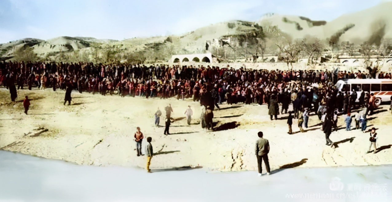 庞沄：陕北女子线线的故事