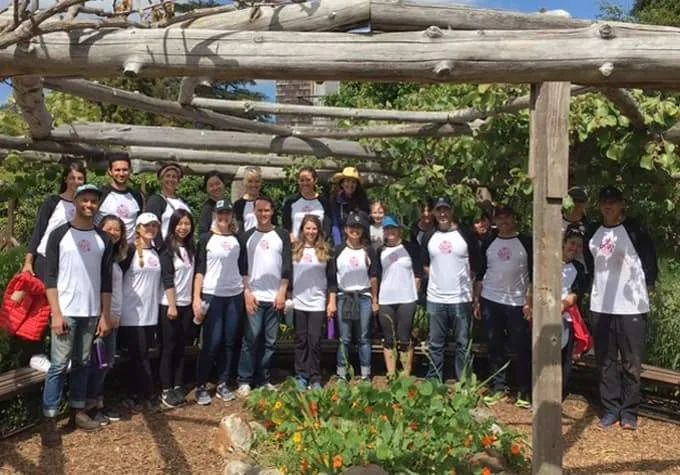 olly维生素软糖有什么效果,olly能量软糖