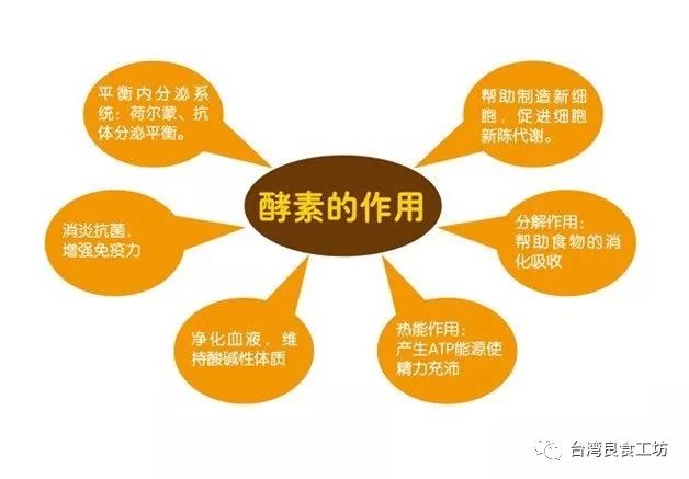 贝敏莎酵素好不好,贝敏莎人参生姜酵素饮怎么开