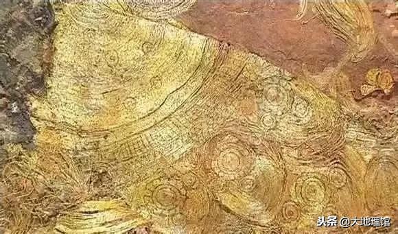 石榴传奇,石榴早在2000多年前经过丝绸之路