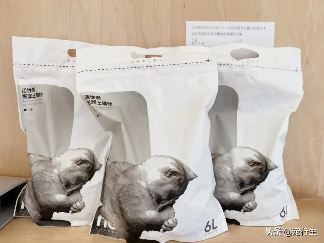 这家宠物快闪集市，怎么拍都好看，学会用宠物视角看世界