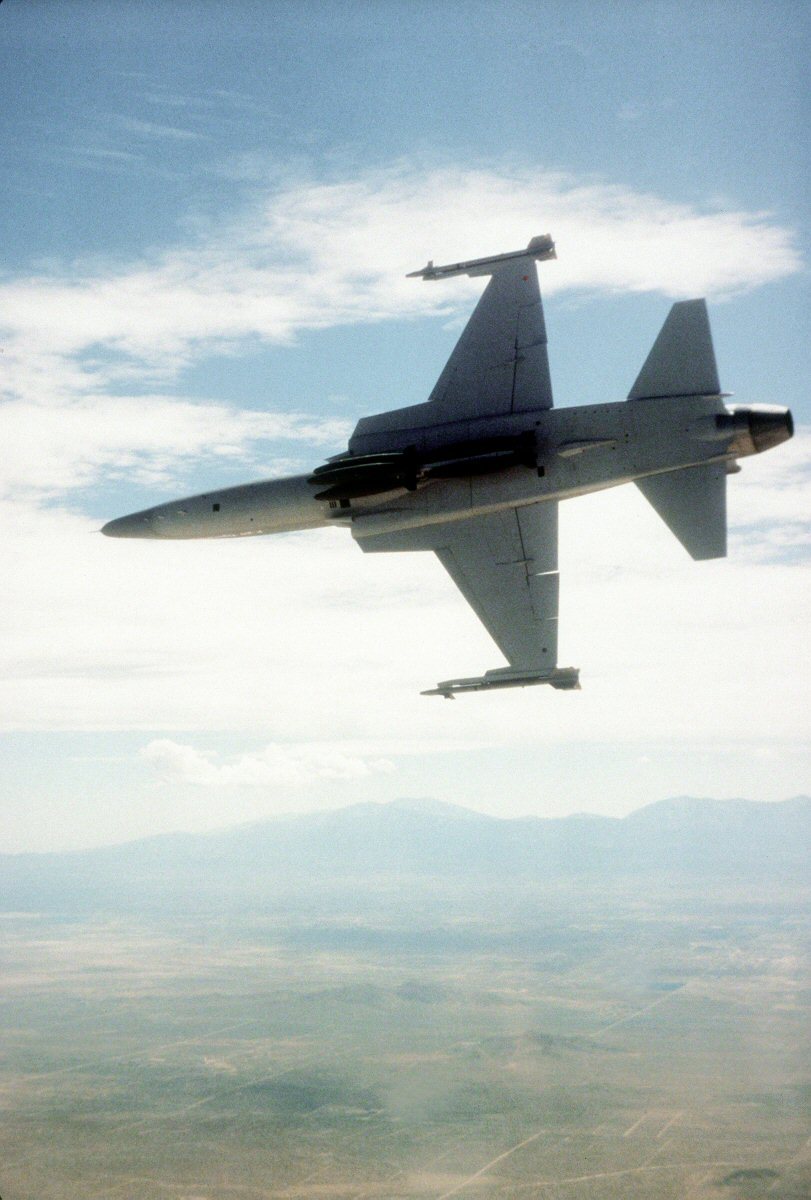 虎鲨悲剧,极富悲剧色彩的虎鲸