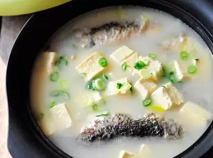 胖头鱼炖豆腐和鲫鱼炖豆腐哪个好,鲫鱼炖豆腐怎么做最好吃