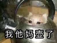 卫龙辣条卖货,卖辣条的卫龙