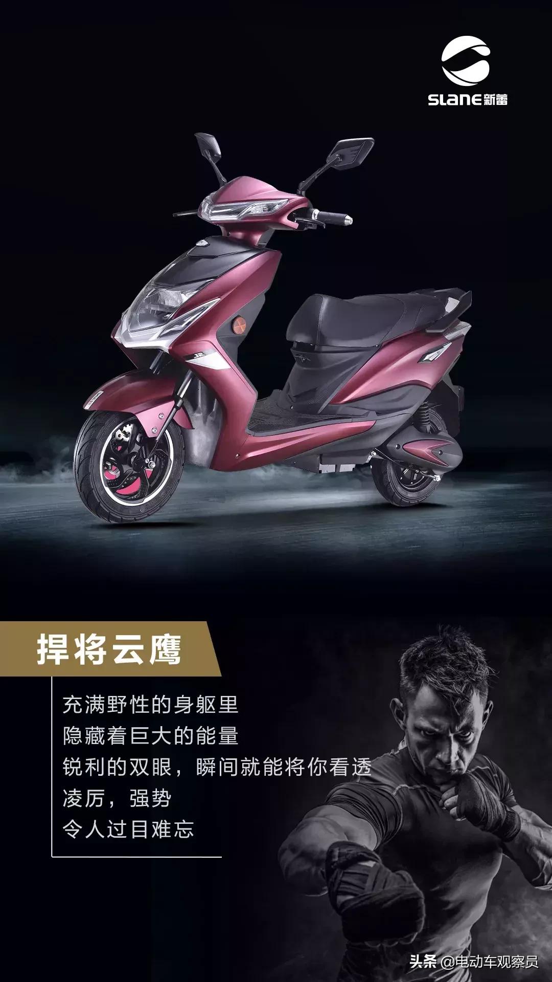 新蕾人气爆棚,新蕾销量