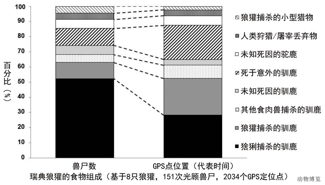 说好了一起捕猎，有的食肉动物却做了清道夫