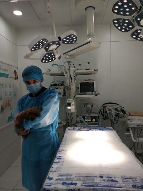 铸就“不平凡”,瑞派宠物医生的“人宠情”