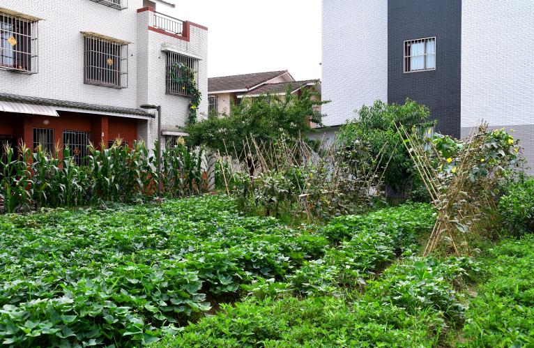 成都新都区军屯镇郭家村,成都新都军屯郭家村