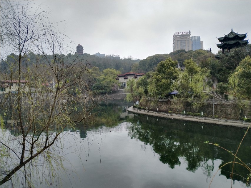 遵义三阁公园内有花吗,遵义三阁公园