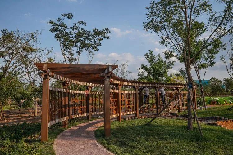 儿童乐园绿心公园,绿心公园儿童游乐区最新视频