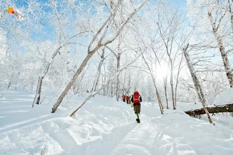 2016雪乡冰雪马拉松暨徒步穿越赛,2019长春全国冰雪徒步大会
