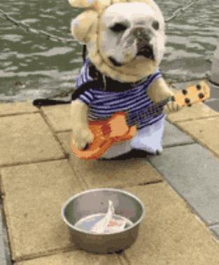 男子被车撞出3米求生欲,求生欲创造奇迹男子被撞