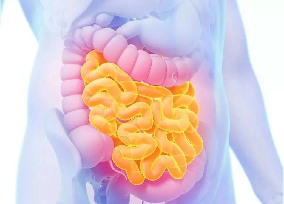 肠的秘密解读大全,肠瘘你了解多少