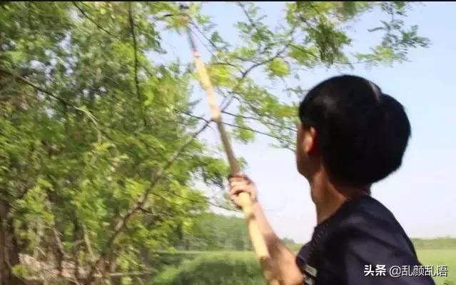 邹平满满的回忆,邹平尘封记忆视频