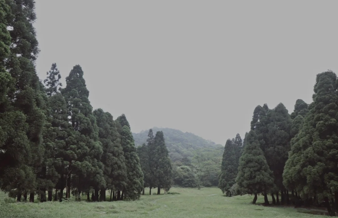 去广西玉林大容山公园露营,广西大容山森林公园