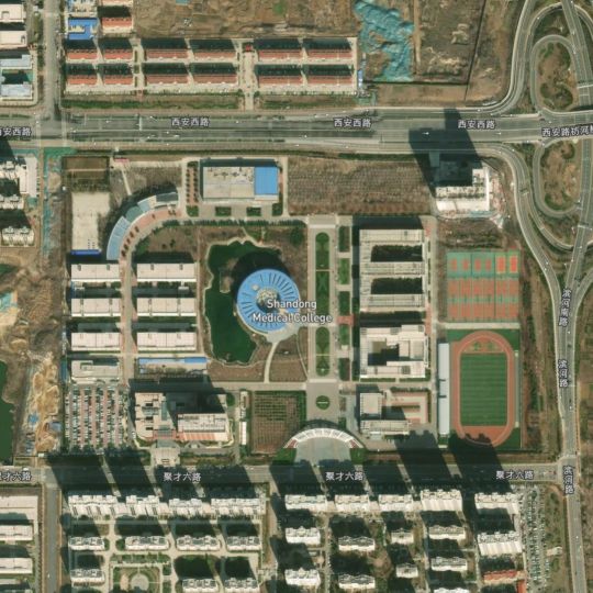 山东省医学类高校的半壁江山,都要感谢青岛大学医学院