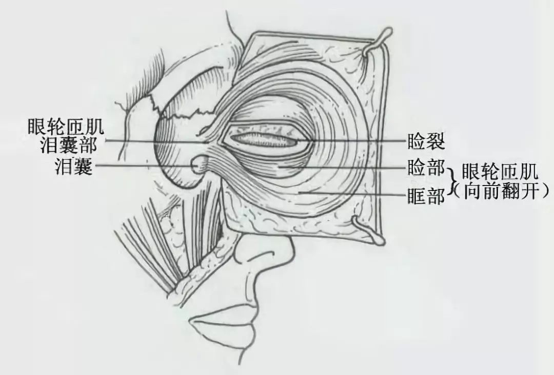 四十年不睡觉的人视频,40年不睡觉的人