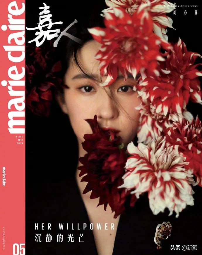 刘亦菲从清纯小龙女到硬汉花木兰,从洗头妹到影后的小宋佳