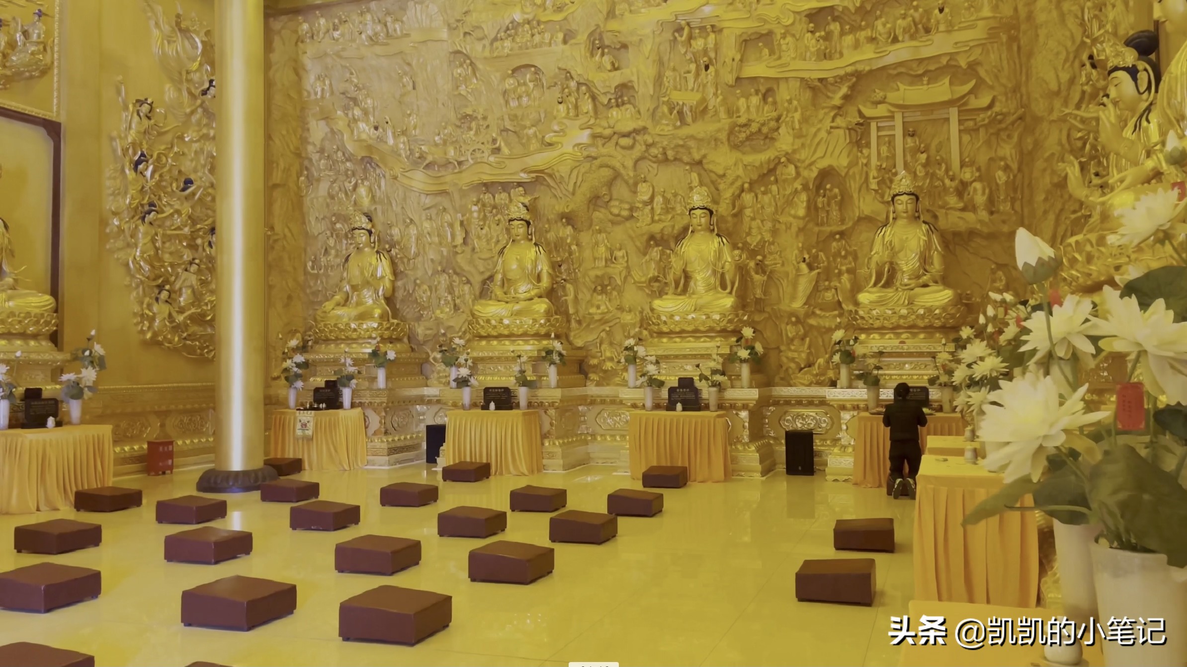 横山寺樱花园门票,横山寺和龙王塘樱花园