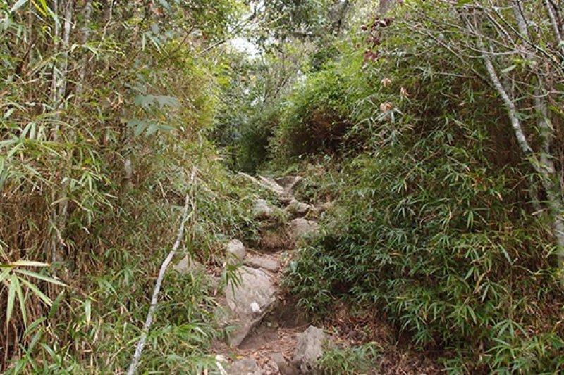 salomon登山鞋不防水,salomon户外鞋如何选择