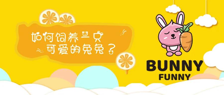 兔兔辣么阔爱，你怎么不养兔兔？