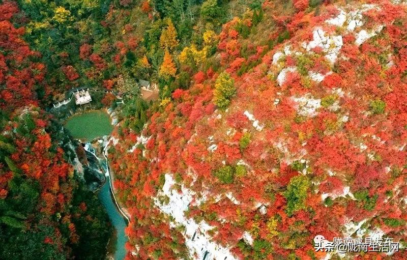 我叫成县，这是我2019年的自拍照