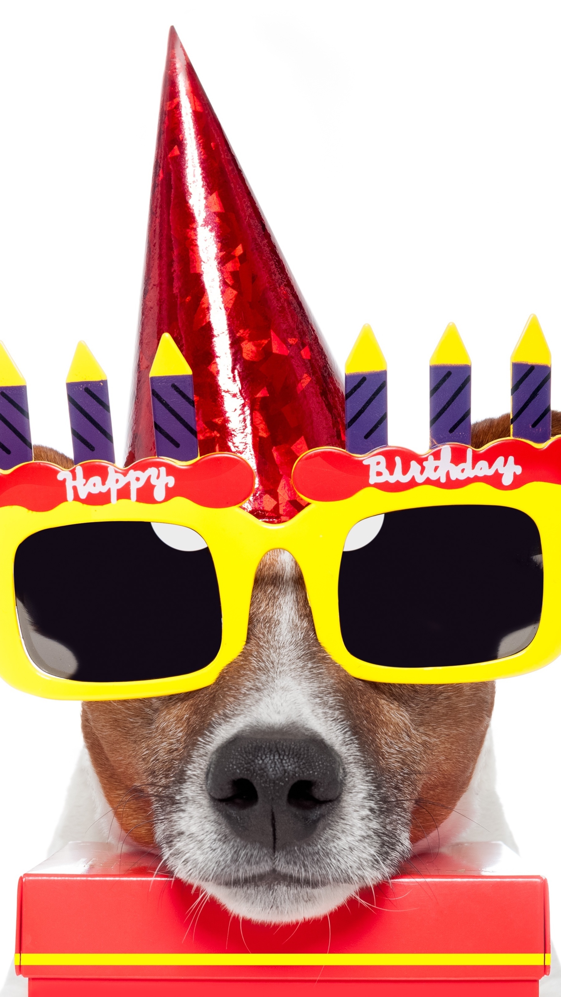 科学上网邂逅4K高清壁纸祝生日快乐贺卡素材，良心无水印系列专辑