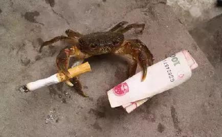 门窗厂老板一年能赚多少钱,门窗生意老板主要做什么