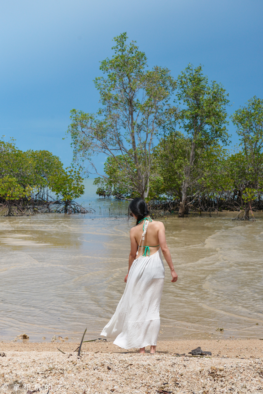 几百元机票飞大马，阿斯顿马丁等你拿