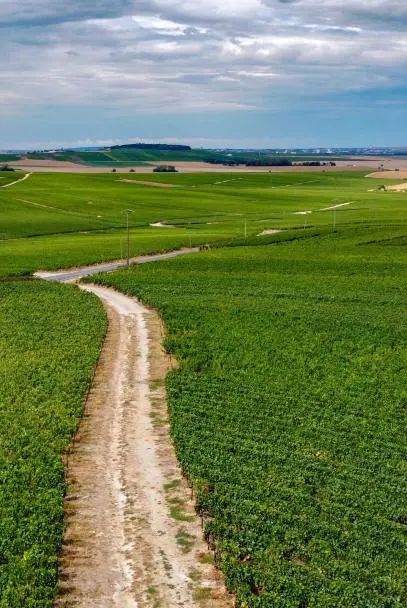 RR·LIFESTYLE|点击获得一杯完美“Mimosa”