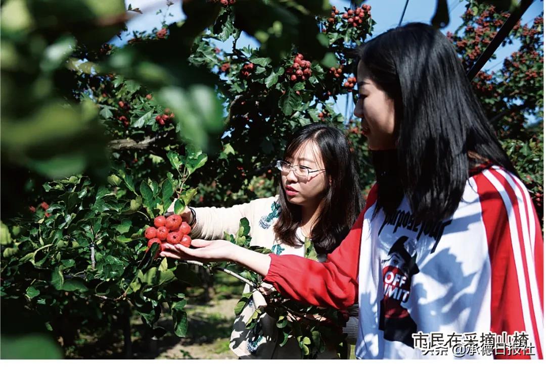 鹰手健康小镇聚力问鼎特色旅游“国字号”“山楂大王”多业态共融擦亮“承德山水”牌