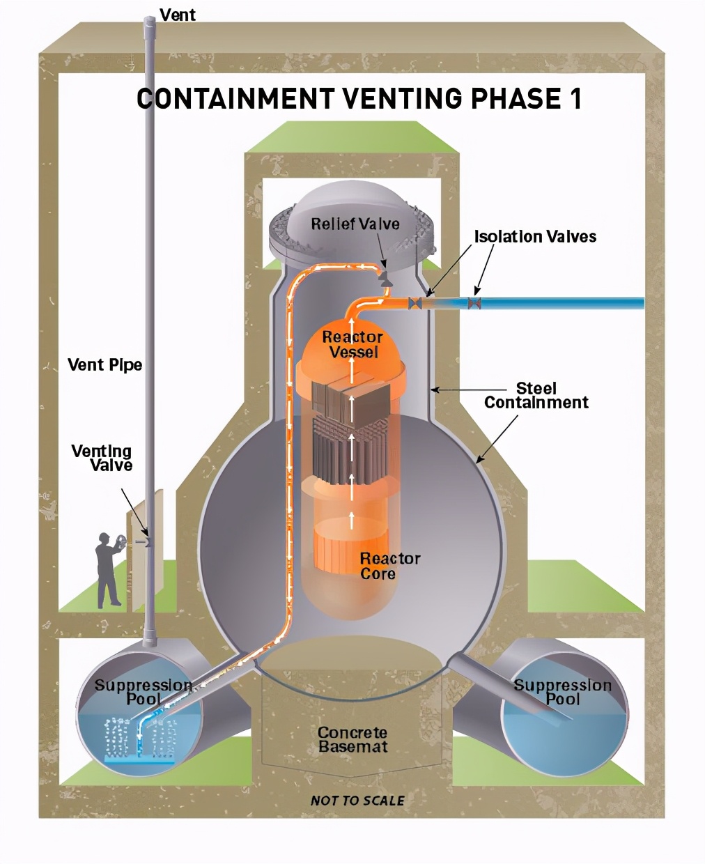 日本政府决定向大海排入核废水，毛熊给出解决方案，你同意吗？