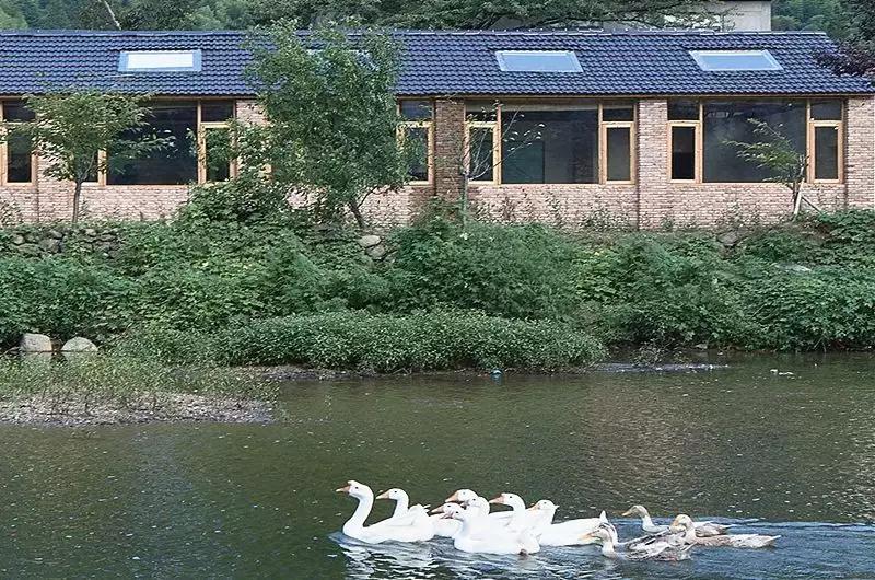 中国最美的乡村振兴村,乡村振兴示范点项目实施方案