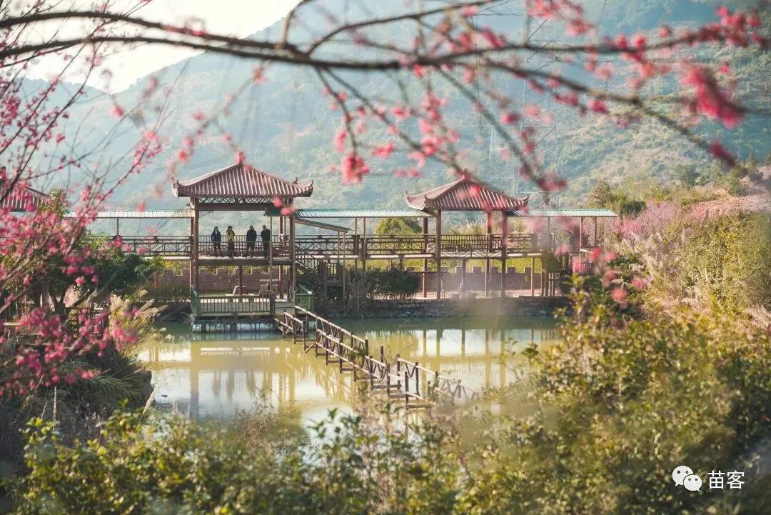 微时光田东,微时光美好生活